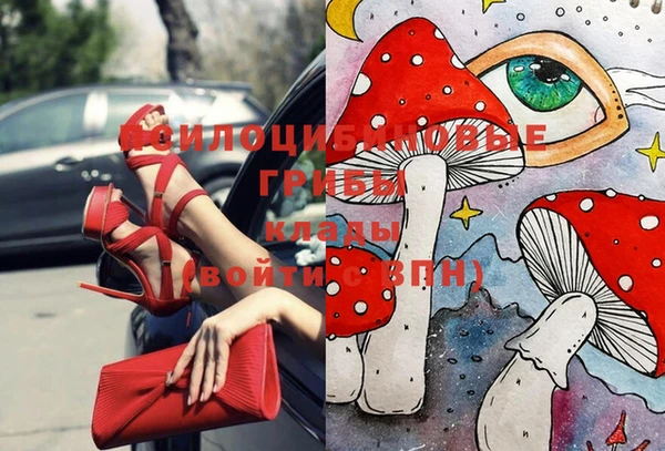 хмурый Нея
