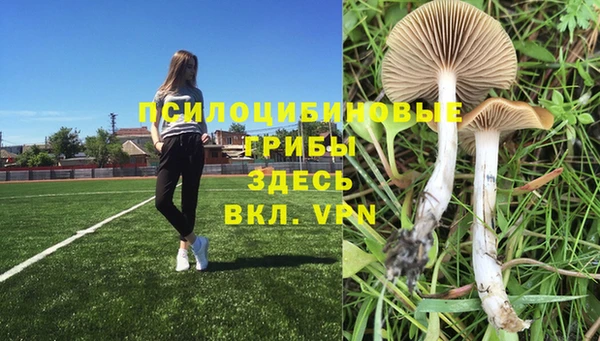 дмт Нефтегорск
