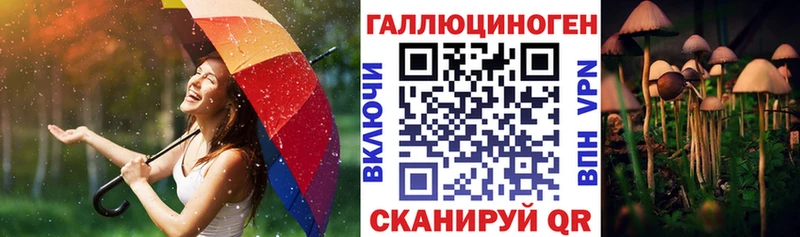 Купить  Кондопога  Псилоцибиновые грибы GOLDEN TEACHER 