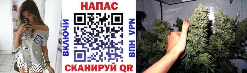 Бошки Шишки Bruce Banner  Купить где  Кондопога 